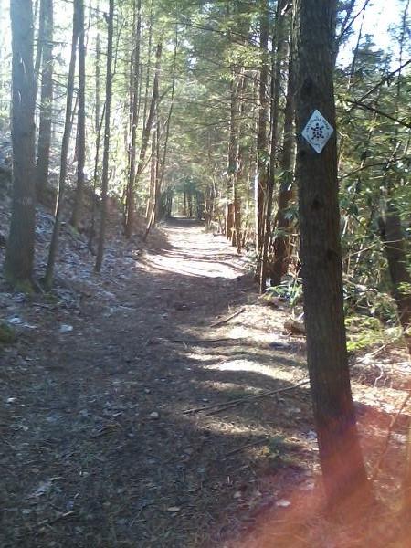 May We Al Find Our Path to Walk